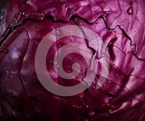 Fresh red cabbage at close range