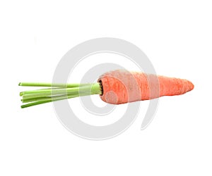 Fresh red carrot on white background