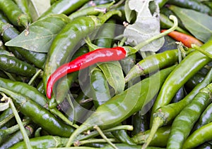 Fresh Red Cayenne pepper on pile of green Cayenne pepper