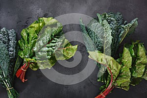 Fresh  red chard and Tuscan kale leaves on dark background