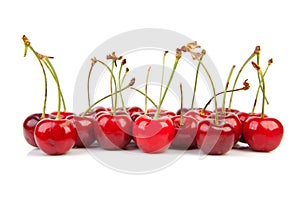 Fresh red cherries