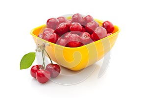 Fresh red cherries