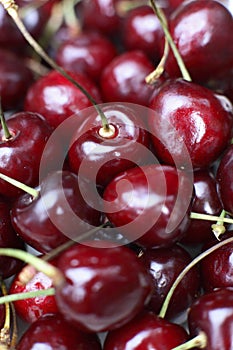 Fresh Red Cherries