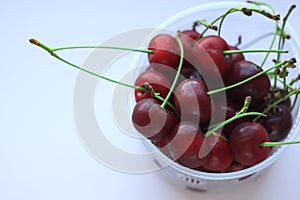 Fresh red cherries in a bowl on pink powder light background. Copy space, minimalistic style