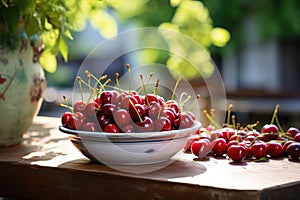 Fresh red cherries fruit in bowl on table in garden