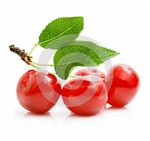 Fresh red cherries with green leaves