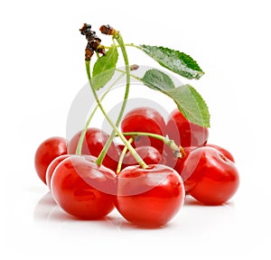 Fresh red cherries with green leaves