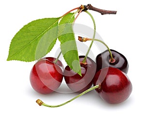 Fresh red cherries with green leaves isolated