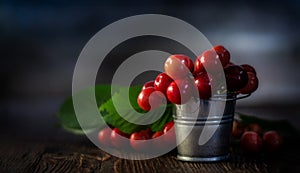 Fresh red Cherries in small metal bucket on old wooden background rural style