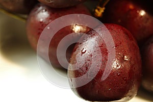 FRESH RED CHERRIES IN WHITE BOWL WITH CONDENSATION ON SKIN