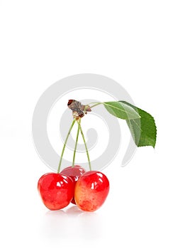 Fresh red cherry over white photo