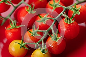 Fresh red cherry tomato on red background