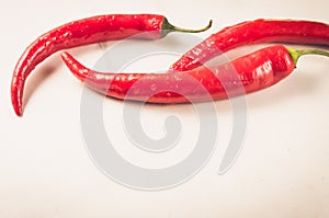 fresh red chili pepper/fresh red chili pepper on a white background. Copy space