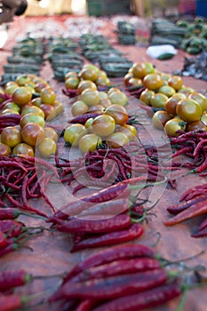 Fresh red chili pepper and tomato