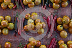 Fresh red chili pepper and tomato