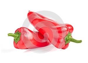 Fresh red chili pepper on a white background