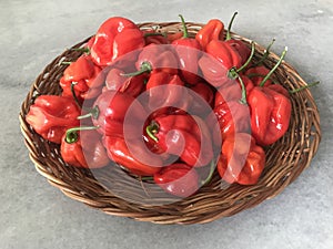 Fresh Red Chili Peppers in a Nature Wooden Plate