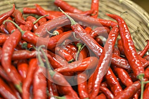 Fresh red chili peppers in wooden basket