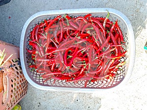 fresh red chili in traditional market