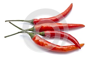 Fresh red chilli