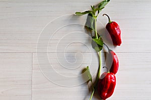 Fresh red Chilli peppers  on the table.