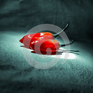 Fresh red chillies on ground