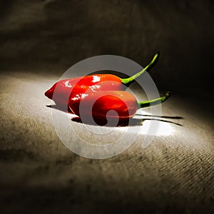 fresh red chillies on the ground