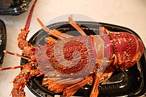 Fresh red chinese lobster
