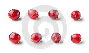 Fresh red cranberries