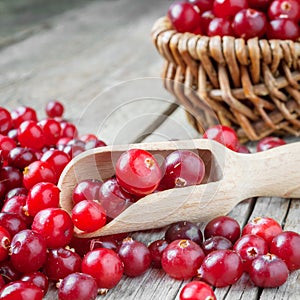 Fresh red cranberries in wooden scoop on old table