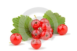 Fresh red currant berries with stem and leaf isolated on white