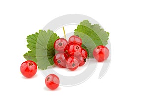 Fresh red currant berries with stem and leaf isolated on white