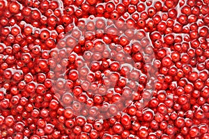 Fresh red currant berries in water