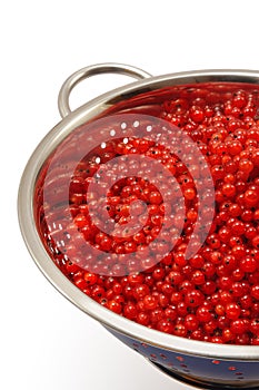 Fresh red currant berries with water drops in cola