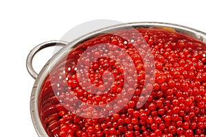 Fresh red currant berries with water drops in cola