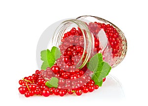 Fresh red currant with green leaf in glass jar