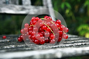 Fresh red currants on background. Healthy summer fruits