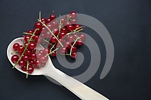 Fresh red currants on a dark background. Space for text