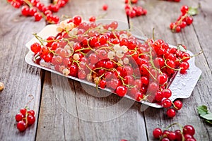 Fresh red current berries with water drops on the metal tray on the rustic wooden table. Summer vegitarian diet. Farmer harvest co