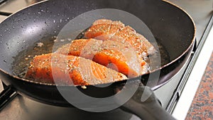 Fresh red fish fillet with spices. Salmon fillet meat is fried in sunflower oil in a pan, close up view, slow motion
