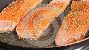 Fresh red fish fillet with spices. Salmon fillet meat is fried in sunflower oil in a pan, close up view, slow motion