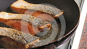 Fresh red fish fillet with spices. Salmon fillet meat is fried in sunflower oil in a pan, close up view, slow motion