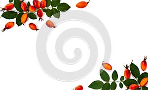 Fresh red fruits dog rose, briar Rosa rubiginosa, rose hips with leaves on a white background. Top view, flat lay