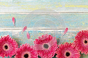 Fresh red gerbera flower border on vintage wooden background. Mother or woman day greeting card. Rustic style. Top view.