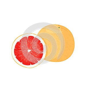 Fresh red grapefruit illustration. Isolated on white background.