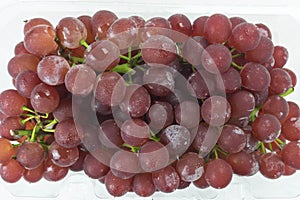 Fresh red grapes