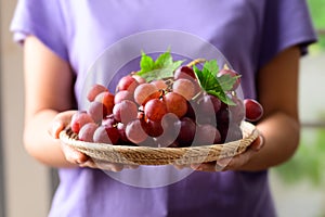 Fresh red grapes fruit holding by woman hand