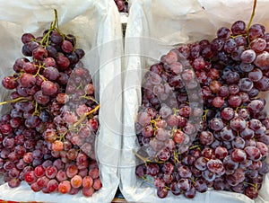 Fresh red grapes packaged in protective plastic-lined containers