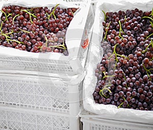 Fresh red grapes placed in the basket in the market.