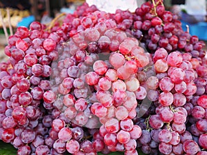 Fresh red grapes for sale in the market